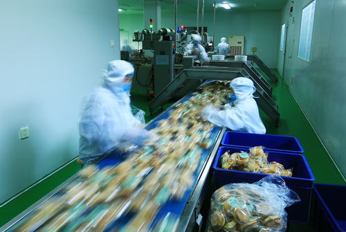 鄉(xiāng)村產(chǎn)業(yè)振興 五因制宜